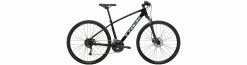 Trek Dual Sport 2